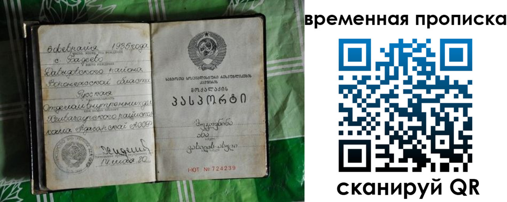 прописка в Горняке